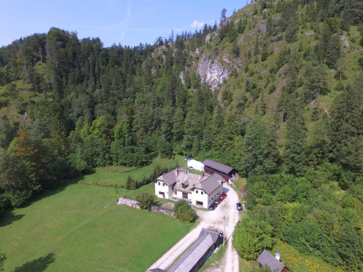 Penzion Black Sheeps Adventures Wildalpen Exterior photo