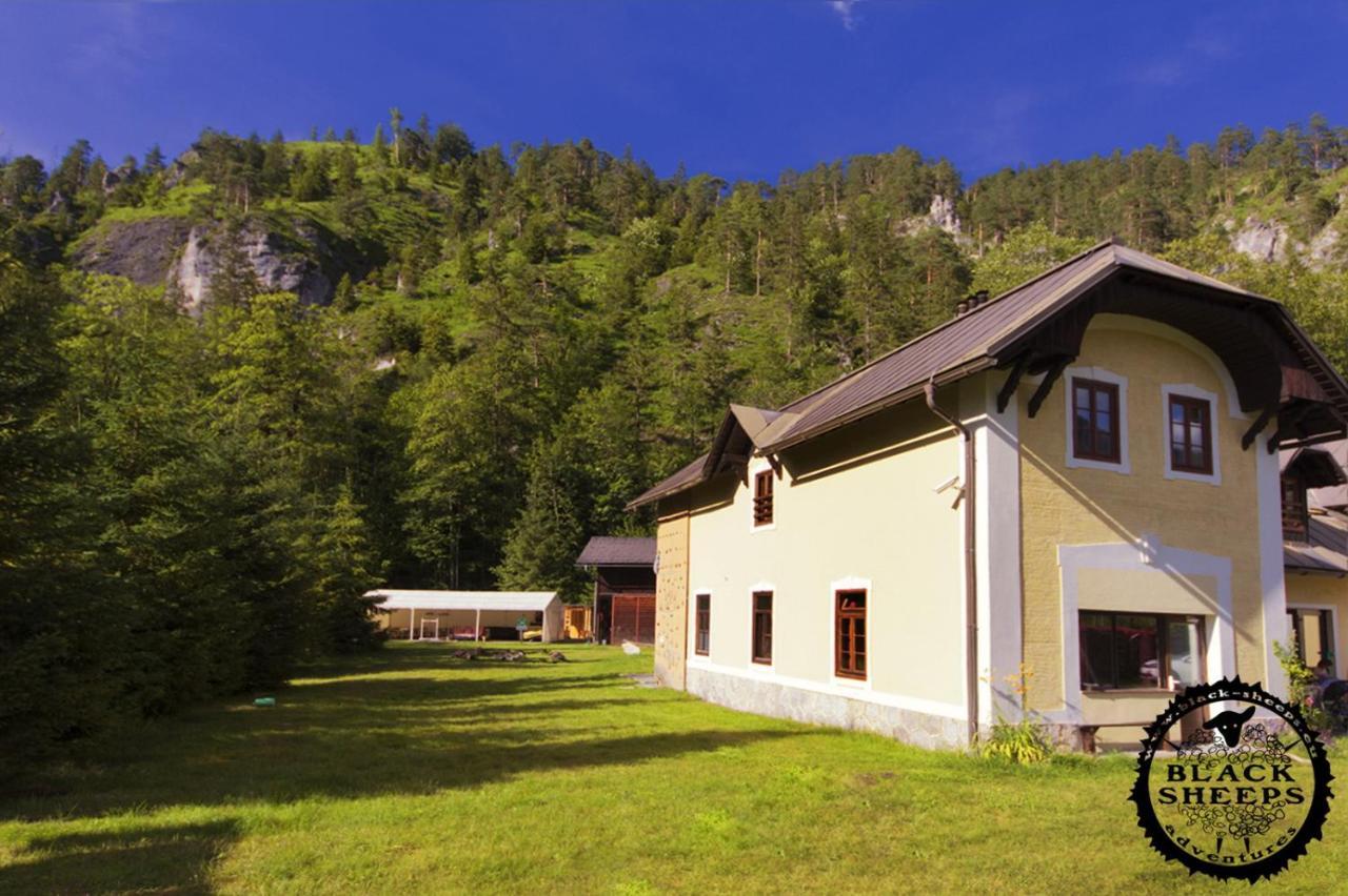 Penzion Black Sheeps Adventures Wildalpen Exterior photo